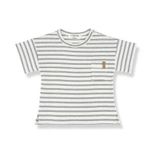 1  in the family Pauli Short Sleeve T-Shirt - Petroleum