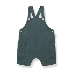 1  in the family Roman Overalls - Petroleum