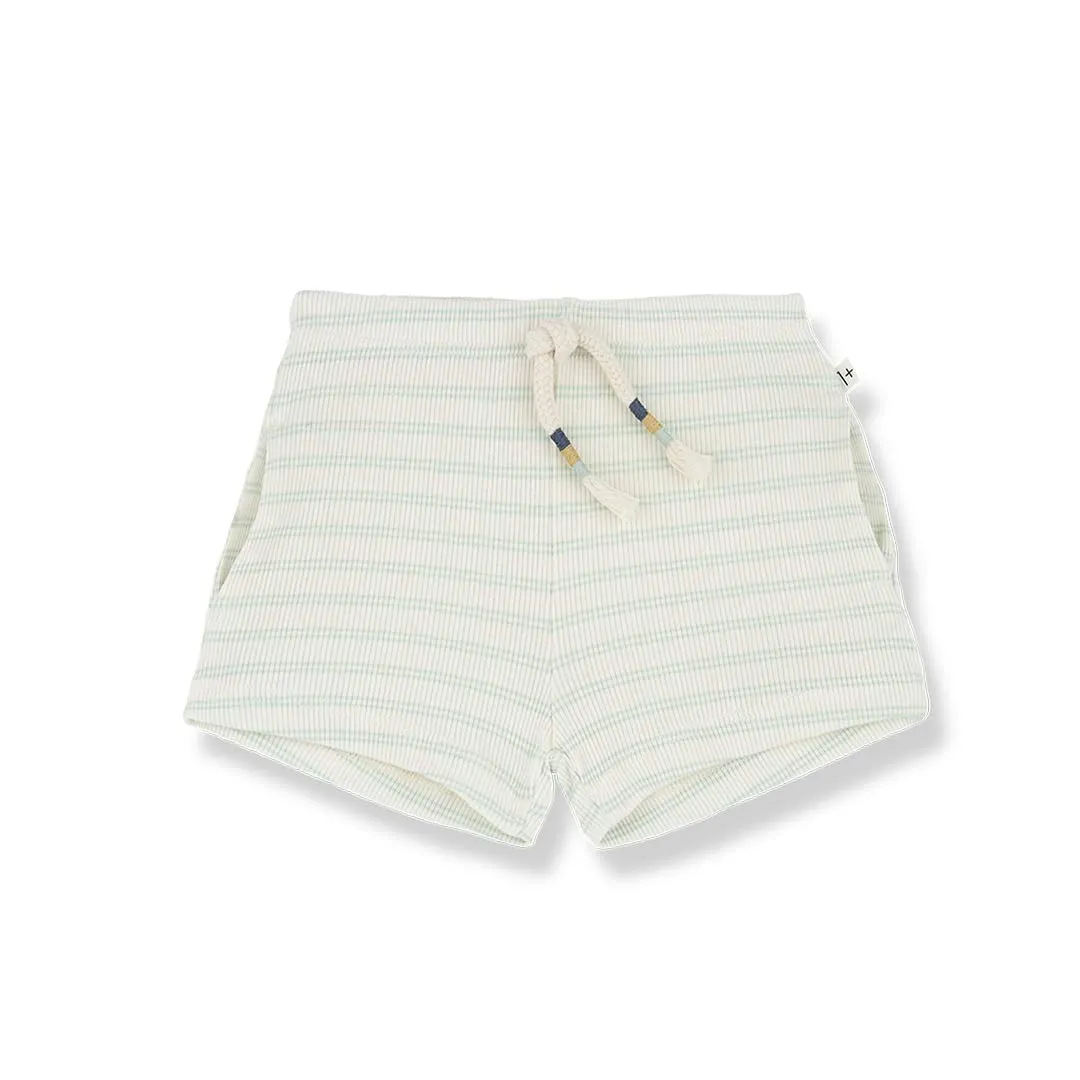 1  in the family Stela Shorts - Subtle Green