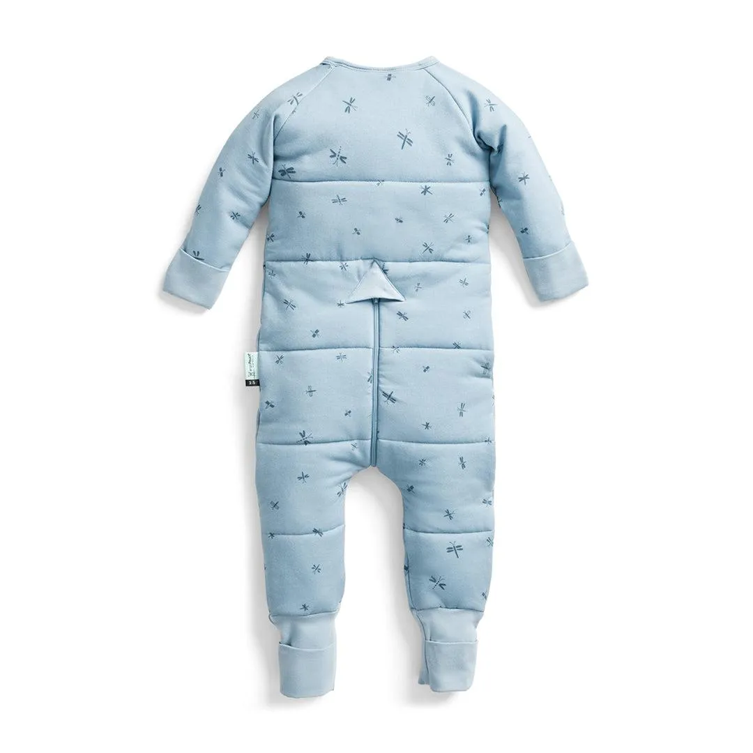 ergoPouch - Organic Winter Long Sleeved Sleep Onesie - 2.5 TOG - Dragonflies