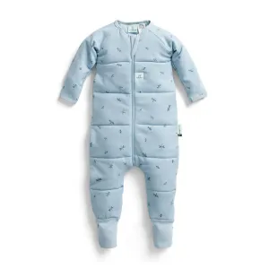 ergoPouch - Organic Winter Long Sleeved Sleep Onesie - 2.5 TOG - Dragonflies