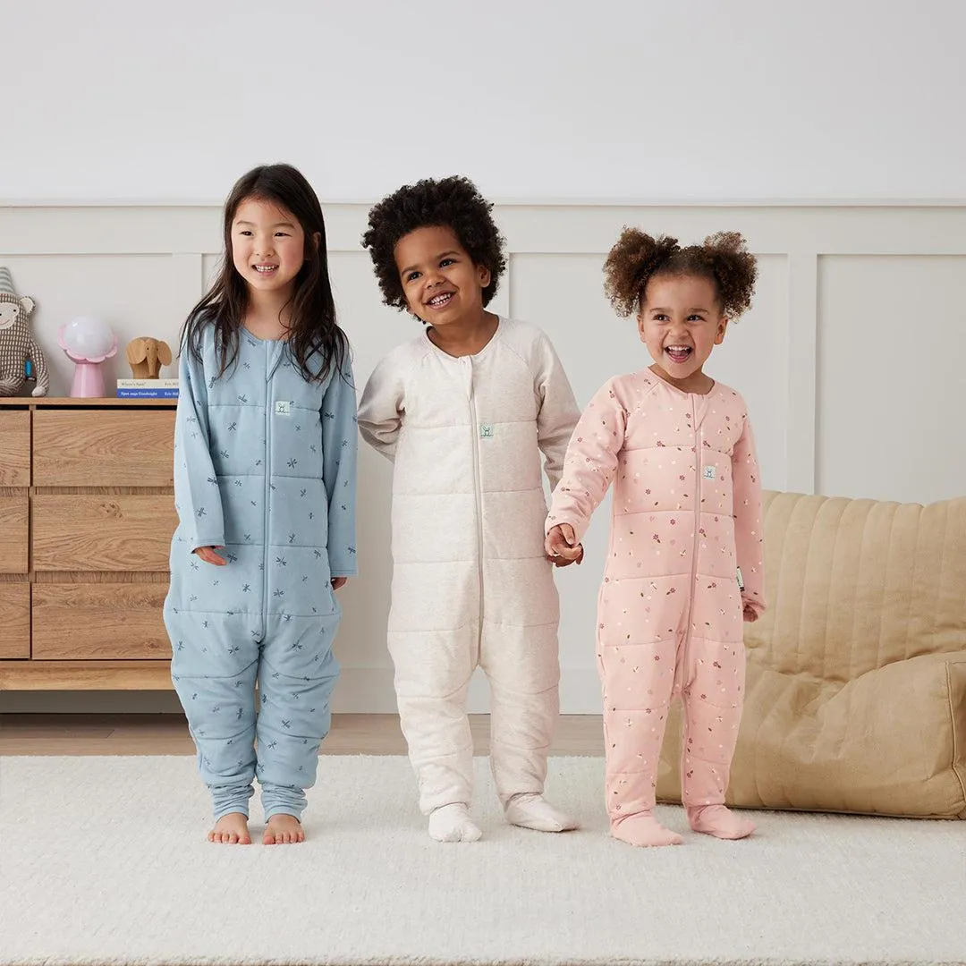 ergoPouch - Organic Winter Long Sleeved Sleep Onesie - 2.5 TOG - Dragonflies
