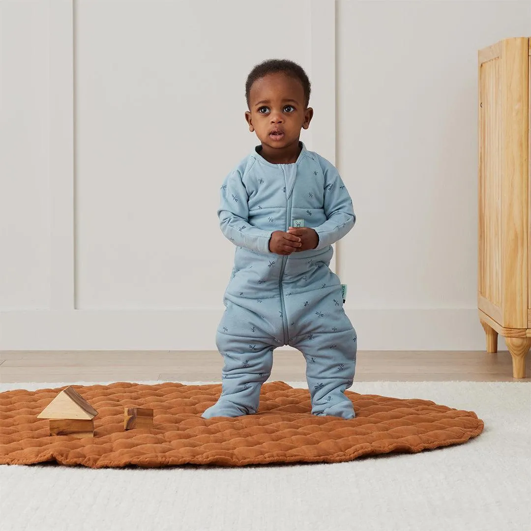 ergoPouch - Organic Winter Long Sleeved Sleep Onesie - 2.5 TOG - Dragonflies
