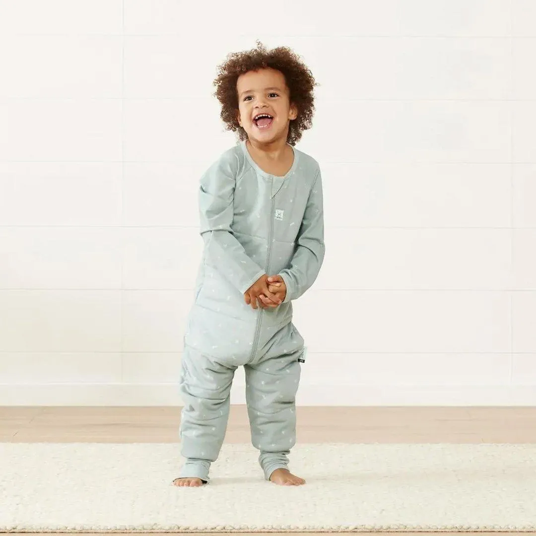 ergoPouch Organic Winter Long Sleeved Sleep Onesie - Sage - 2.5 TOG