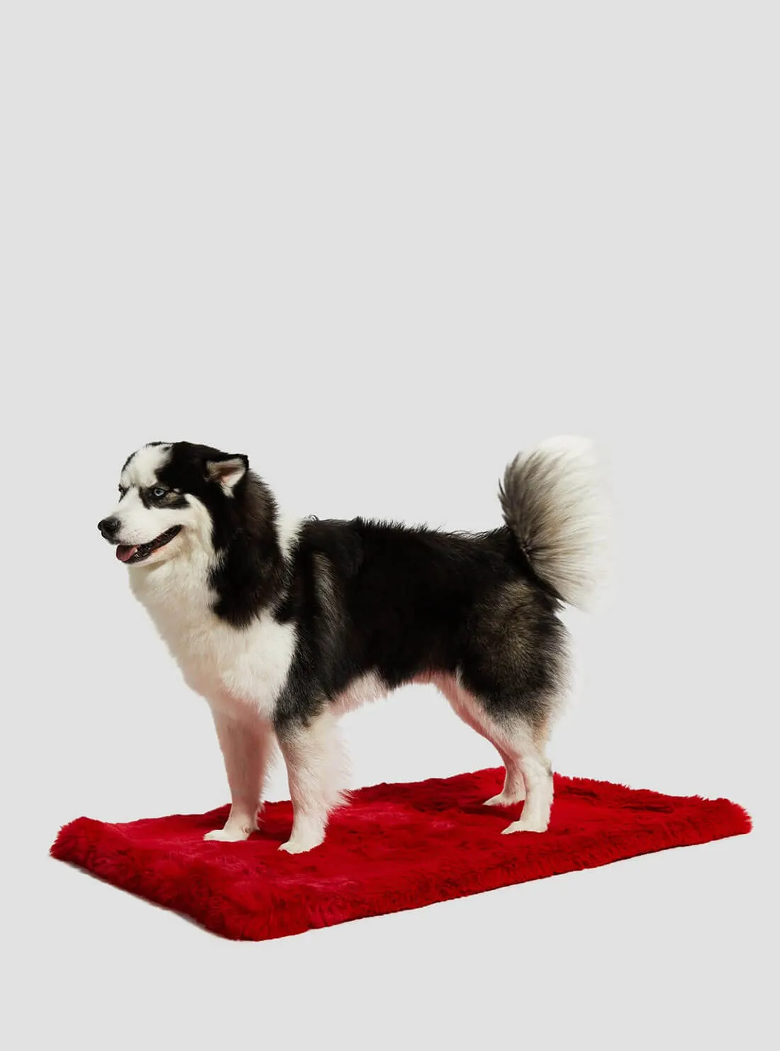 Red Faux-Fur Luxury Pet Rug Guess